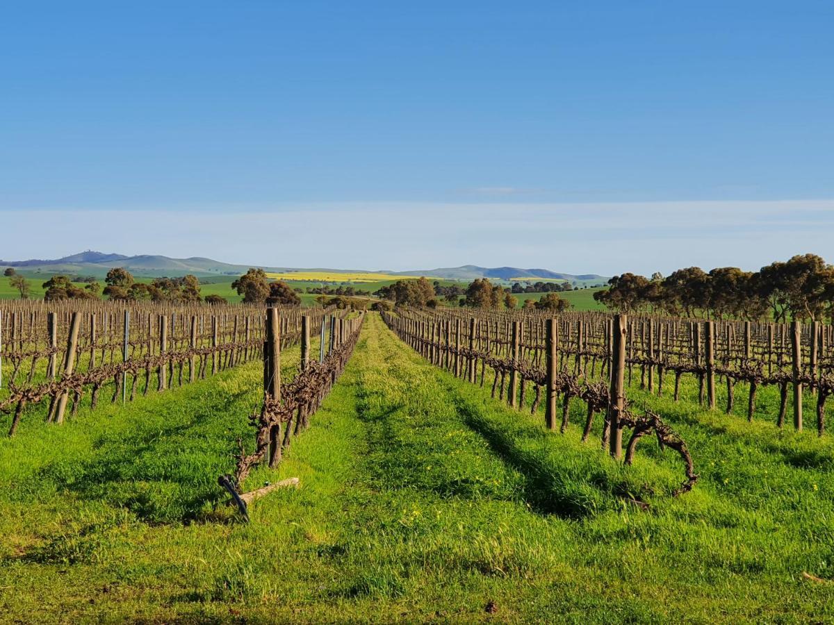 Belalie Wines Villa Jamestown Luaran gambar