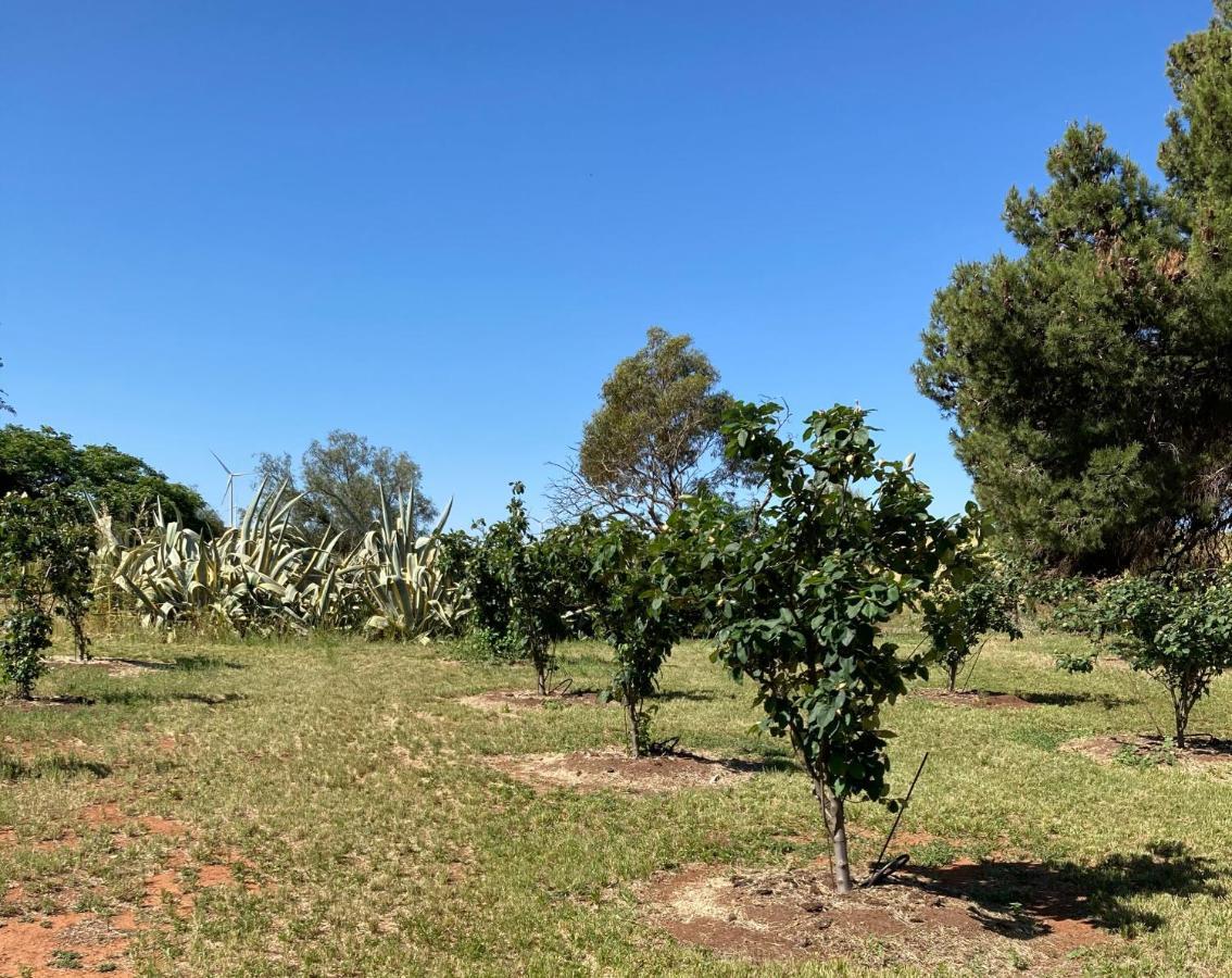 Belalie Wines Villa Jamestown Luaran gambar